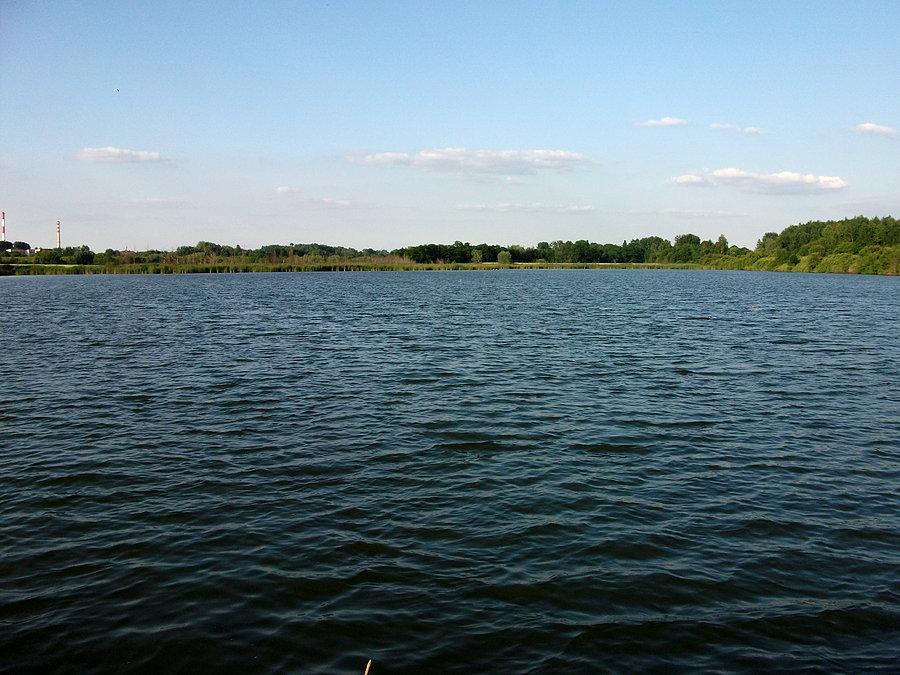 Żabie Doły