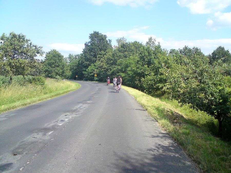 Wataha znudzonych rowerzystów