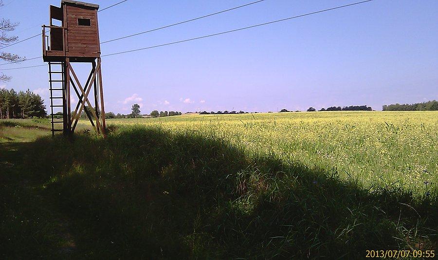 Ambona myśliwska