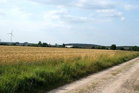 Polną, nieznaną drogą w kierunku Żarnowicy