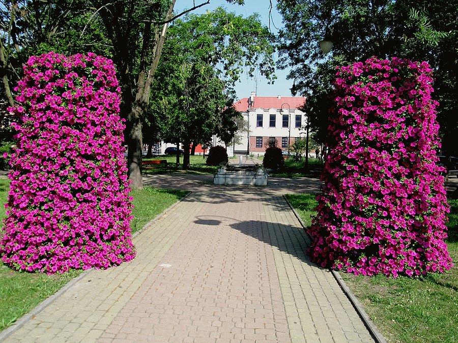 Gąbin - park
