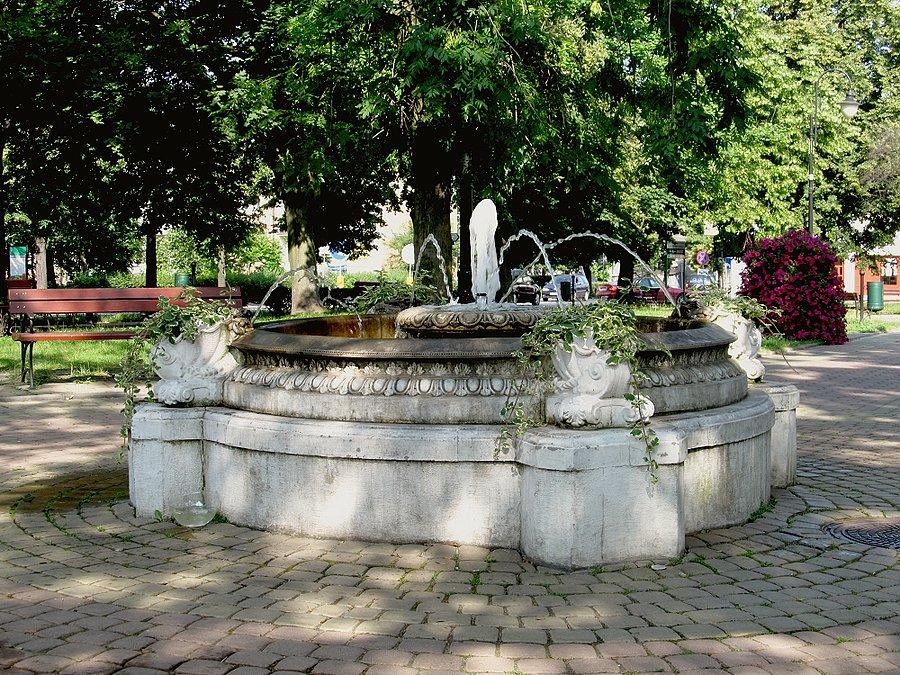 Gąbin - fontana w parku