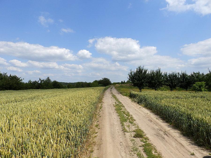 Droga na Kaplicznym wzgórzu