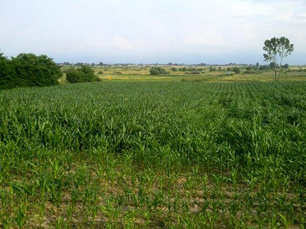 Płasko, ale ładnie