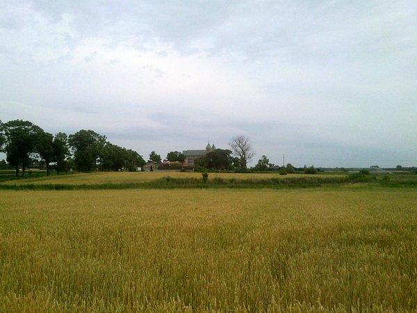 Widok z oddali