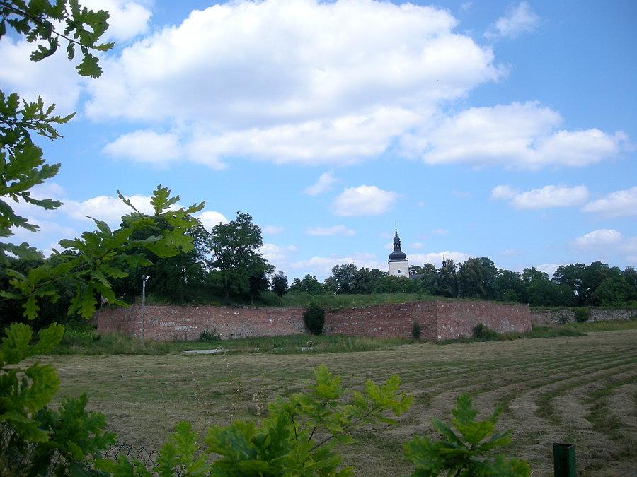 Umocnienia bastionowe zamku w Dankowie