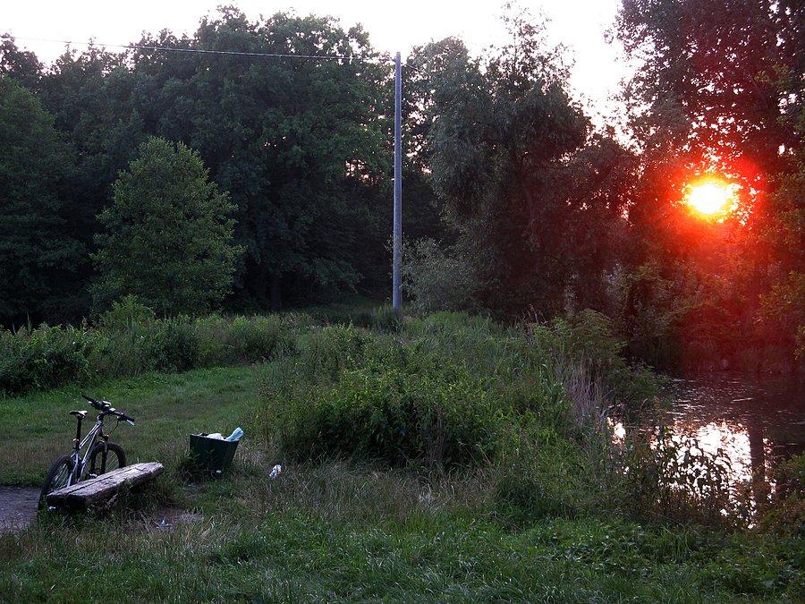 Staw Borowik wieczorem