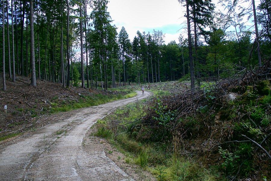 W drodze do Połczyna