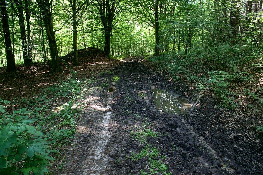 W drodze do Połczyna