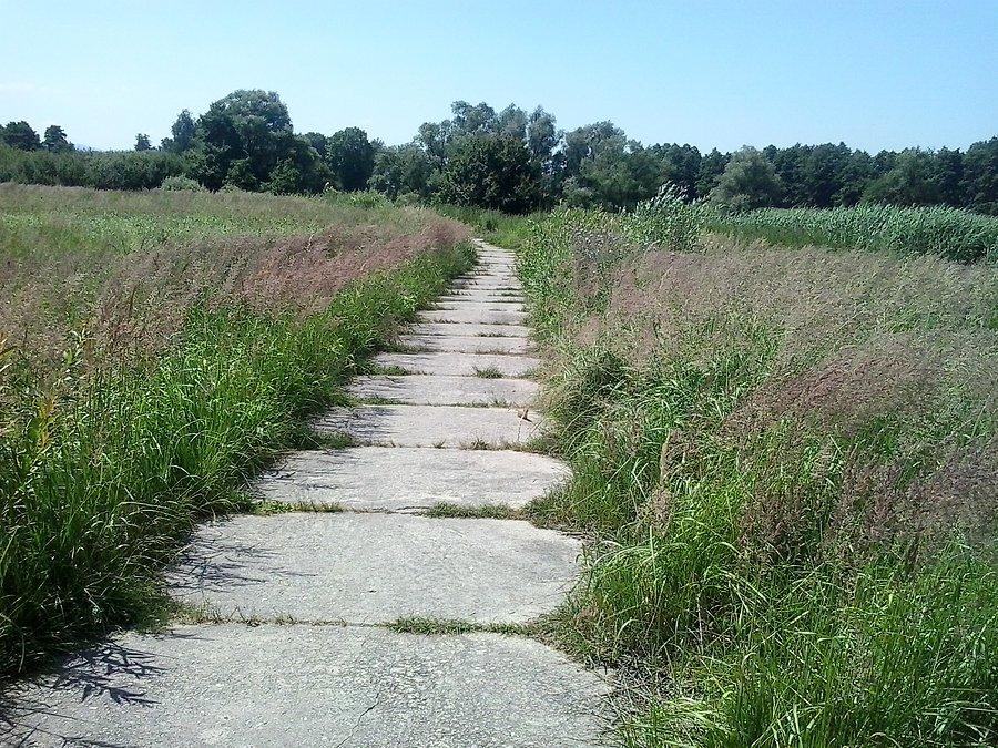 Trasa za zaporą wzdłóż Wisły ... i małe zwierzątko