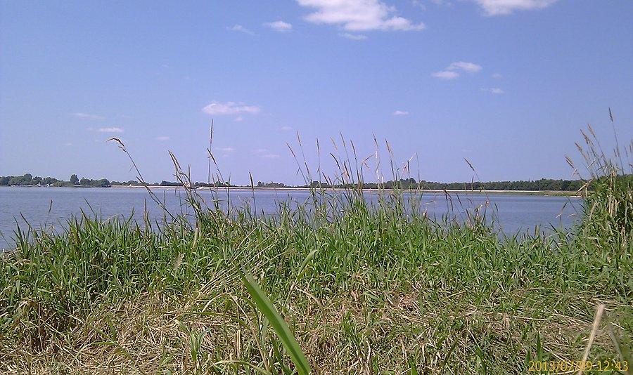 Poraj