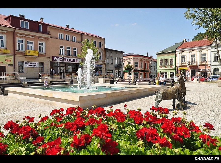 Brzesko - Rynek