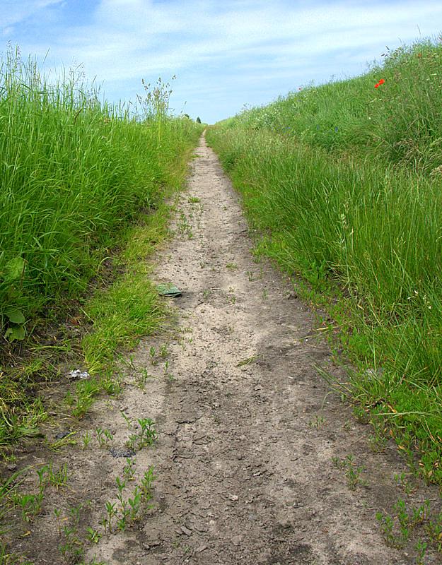 Taka piękna ścieżka..., się trafiła