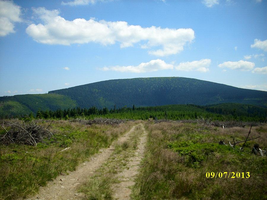 Śnieżnik ze Żmijowca