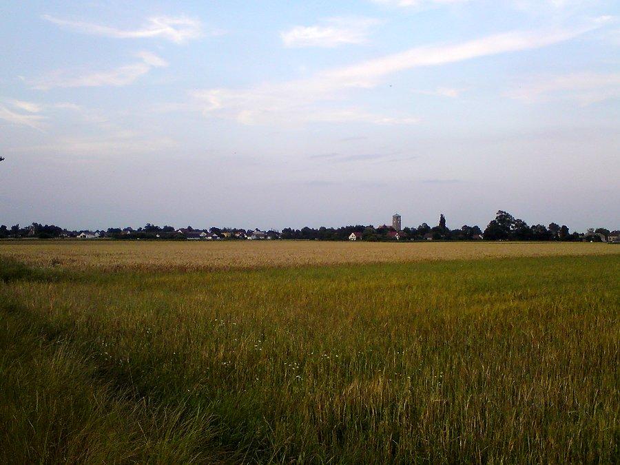 Panorama południowych Starych Siołkowic