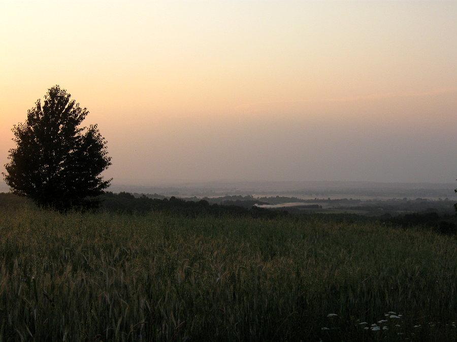 Mgły nad Boguchwałą