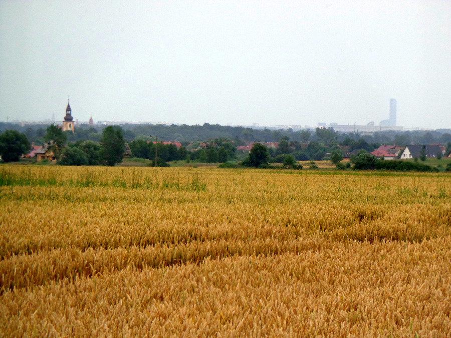 Widok na wrocław z brzeziny