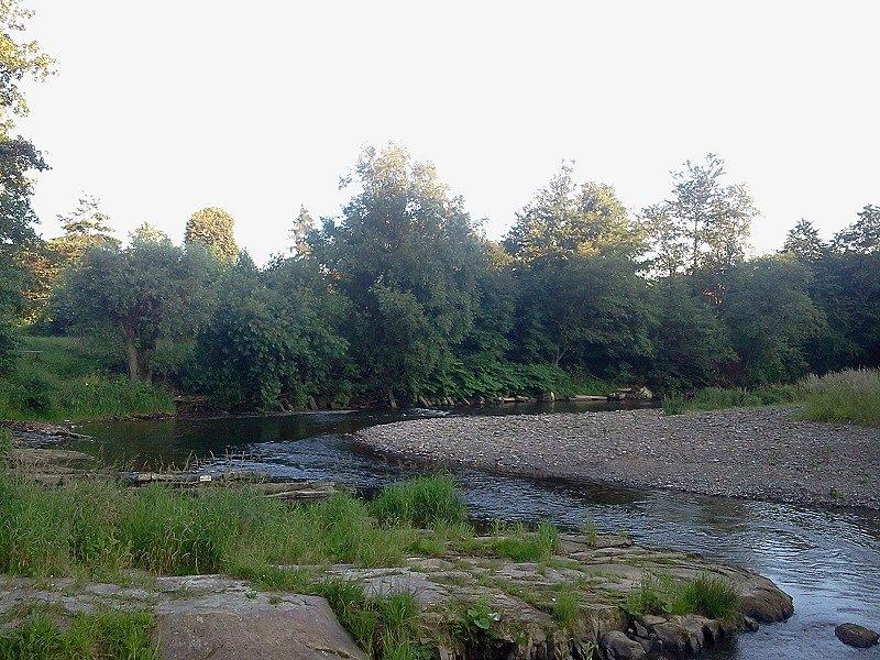 Olza w Gródku