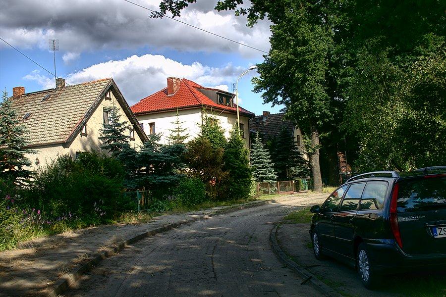 Aleja Dębowa