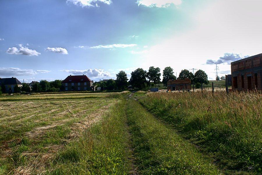 Droga polna do ul. Podleśnej