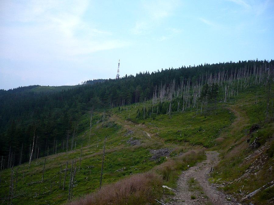 W oddali cel