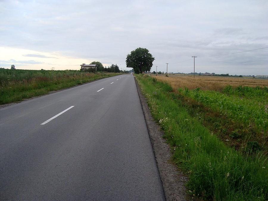 Piękna droga do teściowej