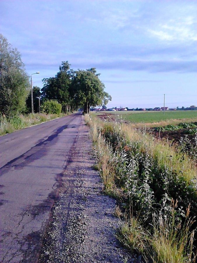 Krajobraz mazowiecki