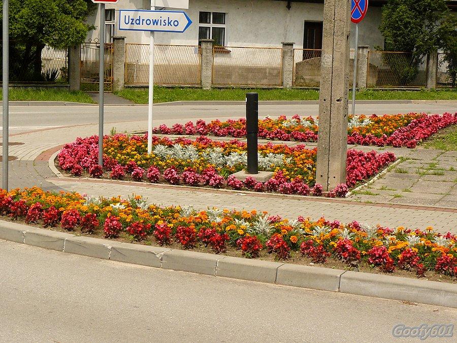 Trochę kwiecia i już robi się ładniej :)