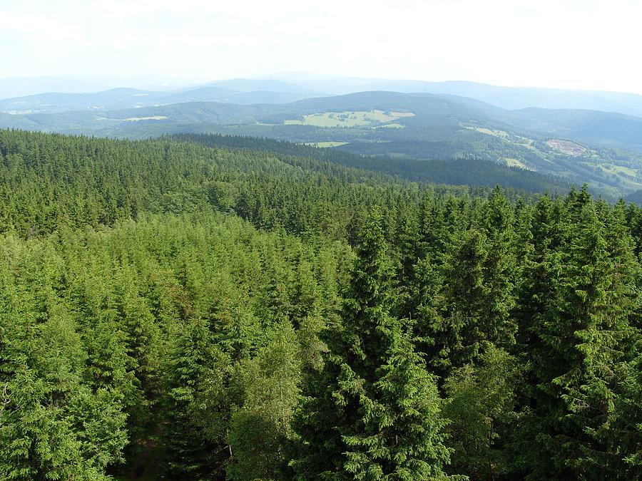 Widok z wieży na okolice i kamieniołom