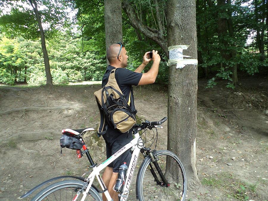 Focący Darecki EB