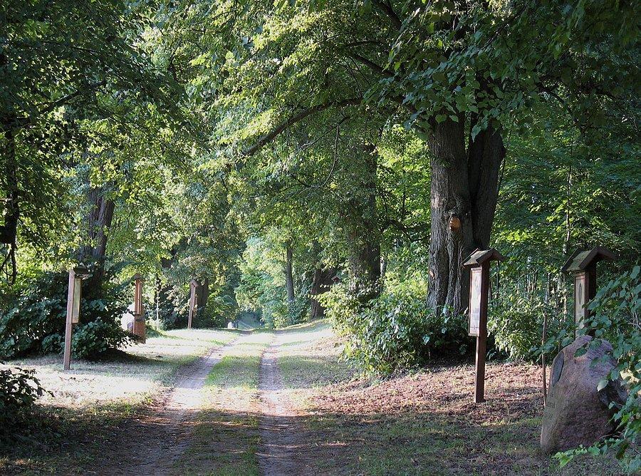 Bałdy - Aleja Biskupów