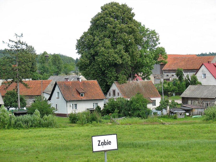 Ząbie - widok z drogi do Orzechowa