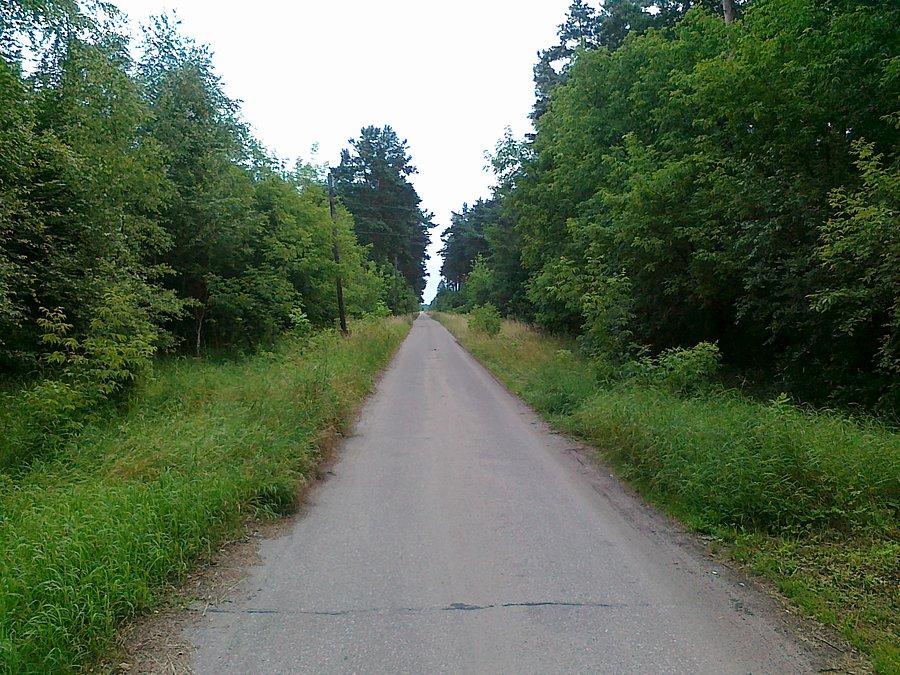 Droga pożarowa nr 1 między Drawskim Młynem a Potrzebowicami