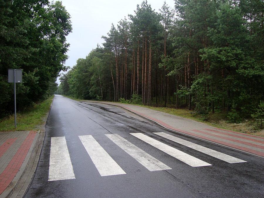Droga z Gizałek do Zagórowa