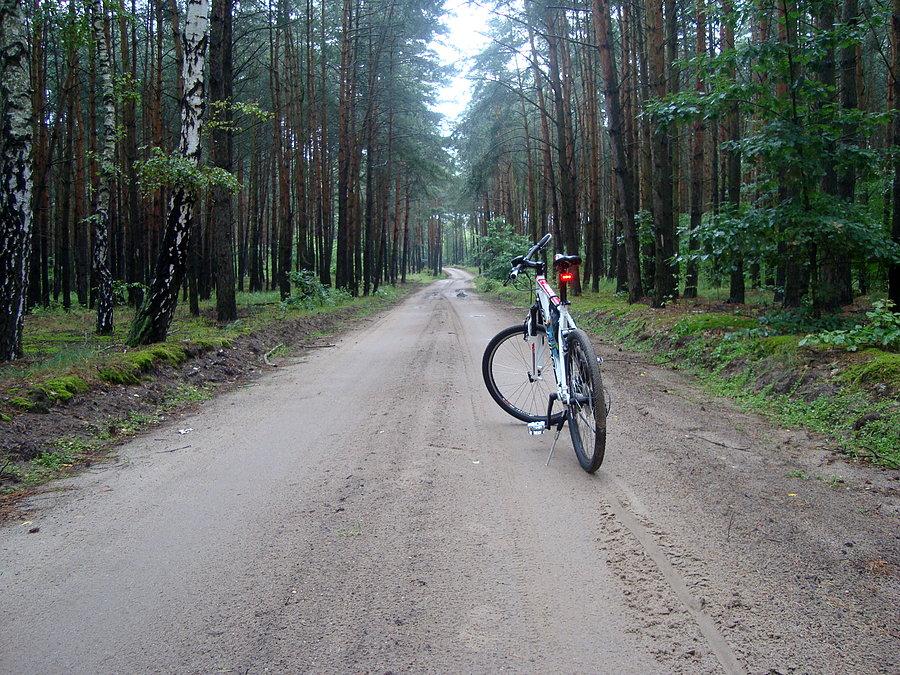 Droga polna pomiędzy Kosewem a Przybrodzinem