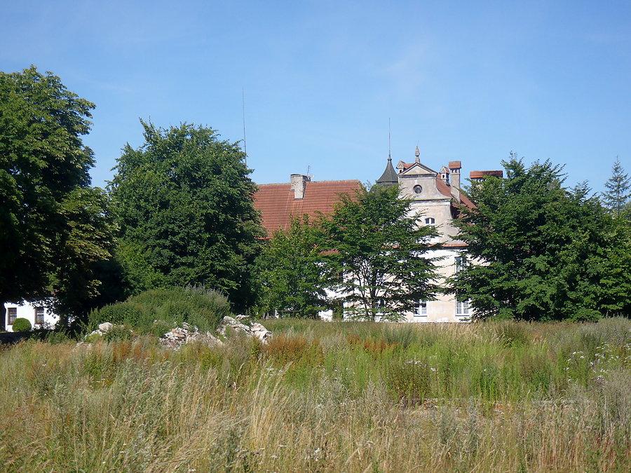 Dwór za drzewami