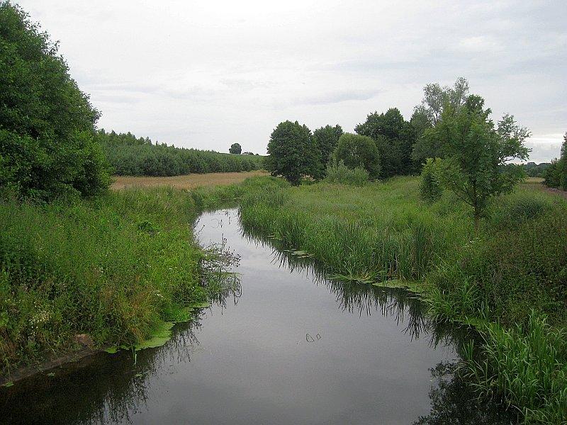 Rzeka Mała Wełna