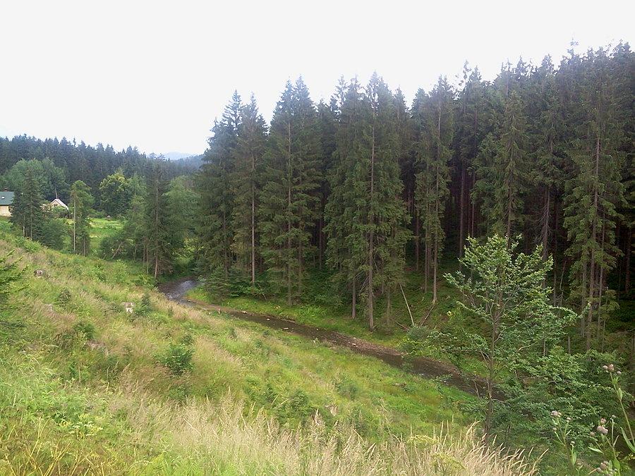 Olza w Istebnej