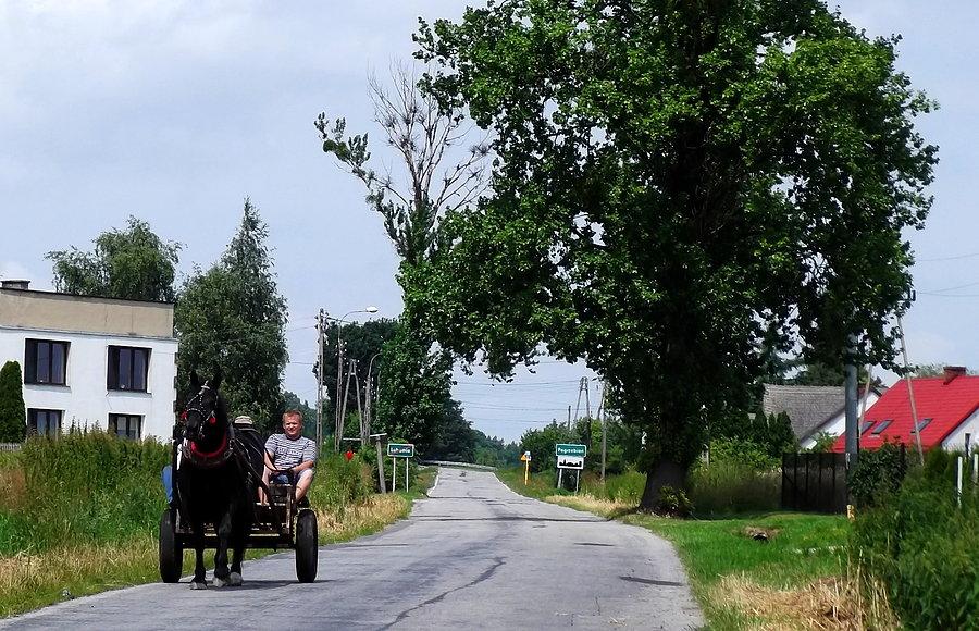 Pojazd z napędem jednokonnym