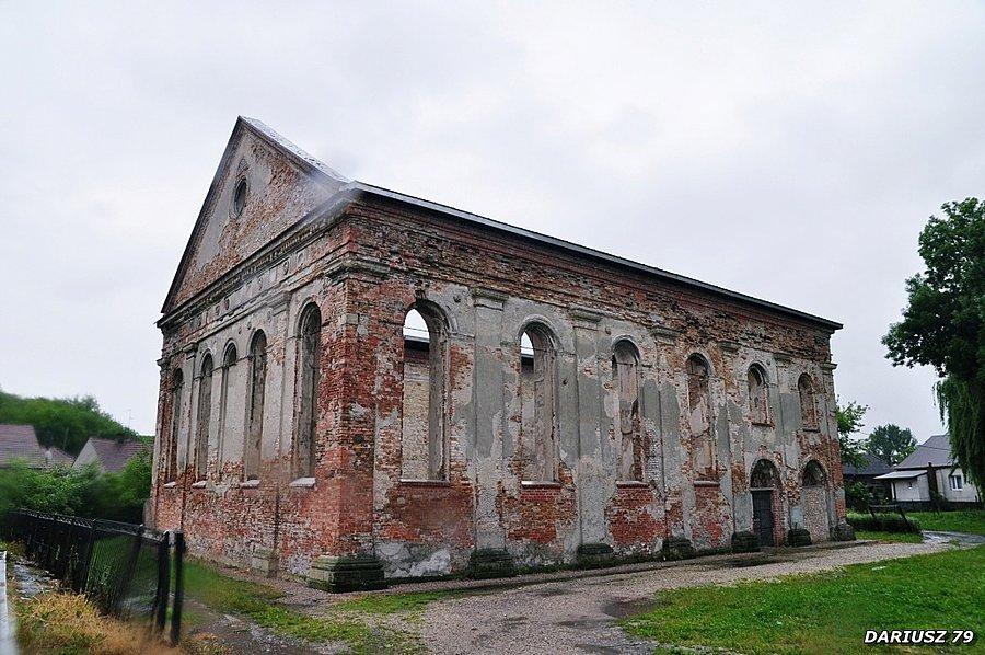 Działoszyce - ruiny synagogi