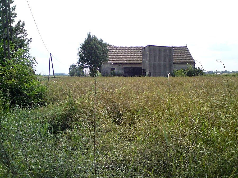 Biedaszka
