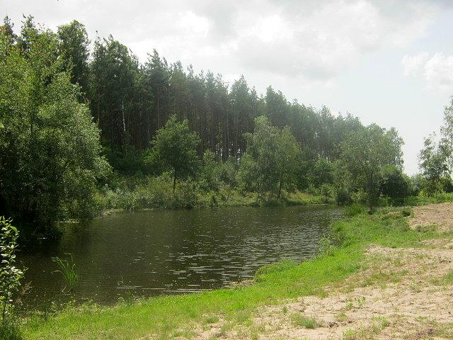 Oczko wodne