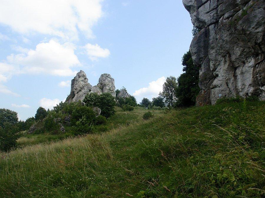 W Łutowcu