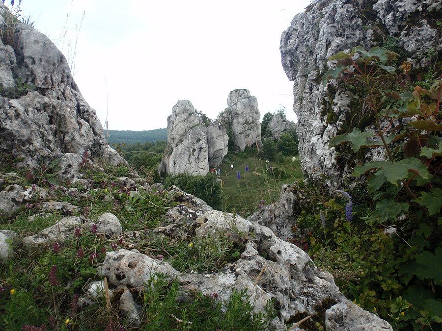 Widok ze strażnicy w Łutowcu