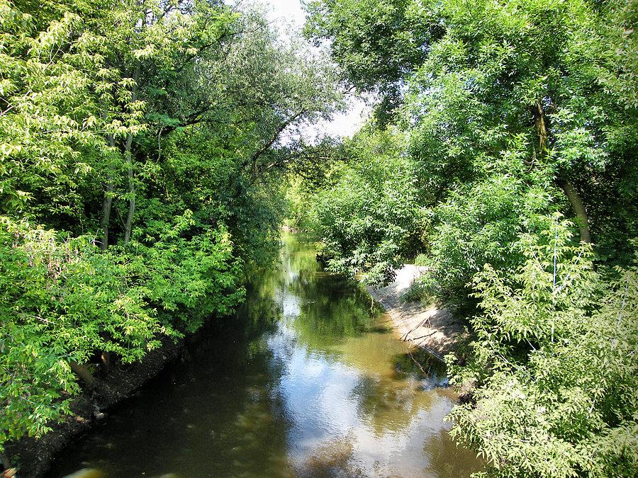 Jeziorka