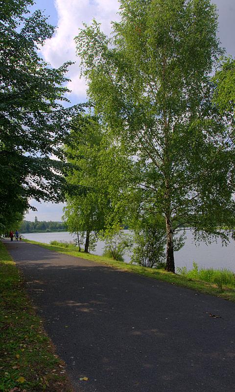 Okolice 3 stawów w Katowicach