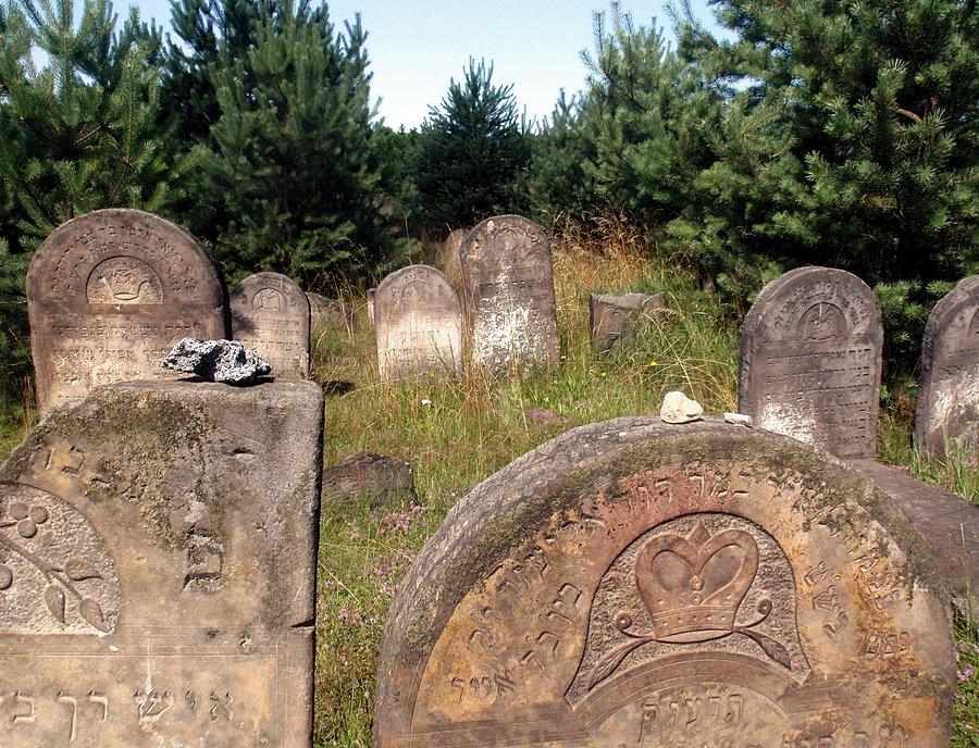 Macewy na cmentarzu w Żarkach