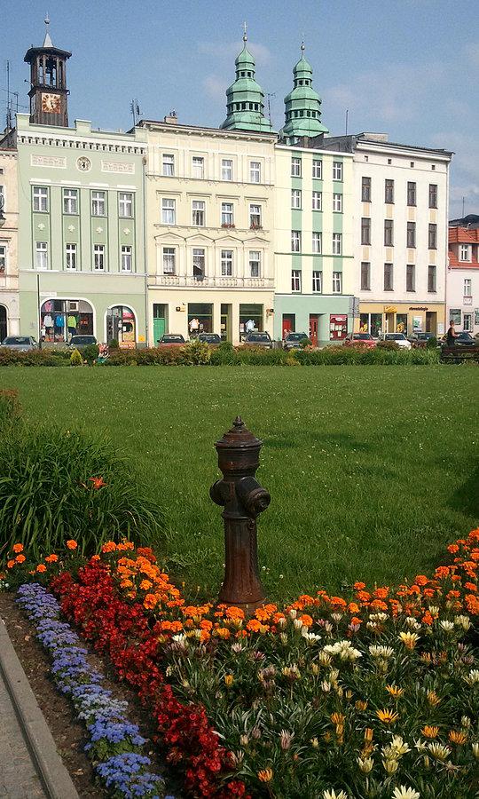 Głuchołazy