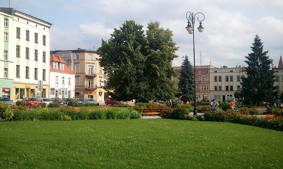 Głuchołazy