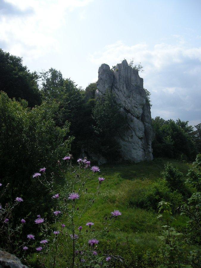 Łutowiec - skała z resztkami strażnicy